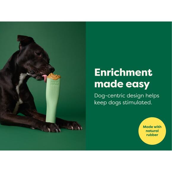 Earth Rated Durable Natural Rubber Dog Chew Treat Enrichment Toy Bone Large 9" - Picture 8 of 9